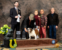 Bulldog #101 SD Judge Brandon Edge
