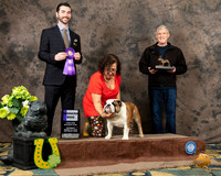Bulldog #5 Sat WD Judge Brandon Edge