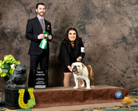 Bulldog #J6 Sat BJr Judge Brandon Edge