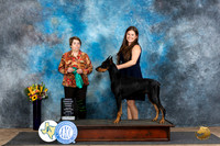 Doberman Pinscher #5 Sun OHG3 Judge Sandra Walker