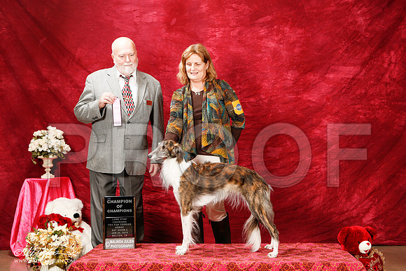 _ST_2222-2-BeltonJan2015-HR3