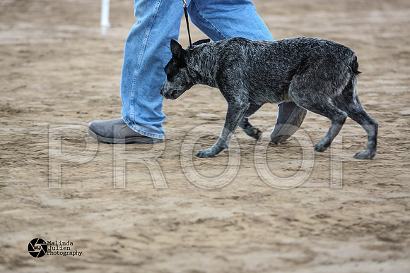 MJ2_1339-WacoFeb14-HR
