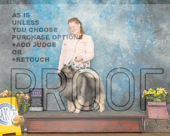 Keeshond #J19 RBJr Judge James Fehring-MMJ_0886-NWARK2022-HR3