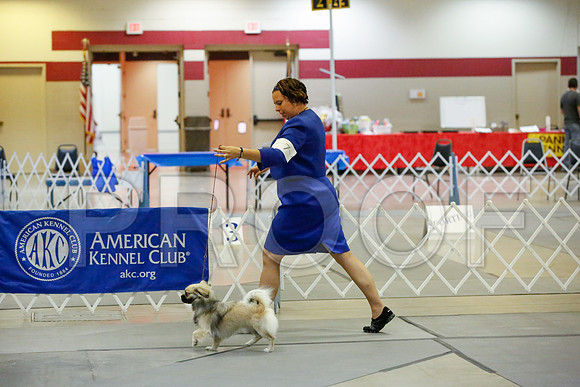 _JJ_0082-AmarilloSept2014-HR3