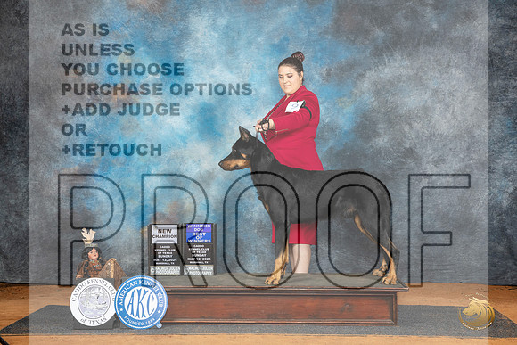Beauceron #9 Sun BOWCH Judge Lisa Graser__JP_8425_MARSHALL_2024_HR3