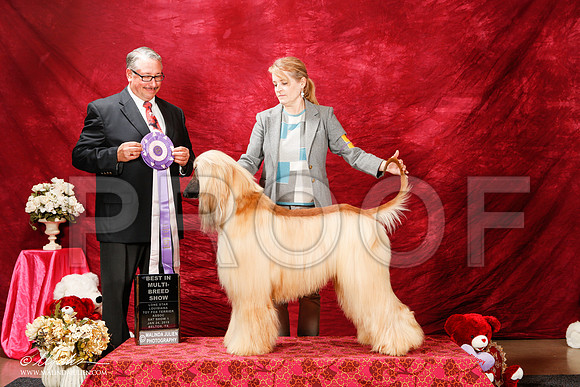 _ST_2197-2-BeltonJan2015-HR3