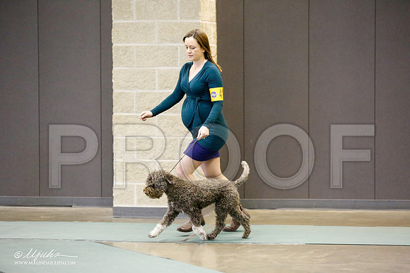 _RH_9243-BeltonJan2015-HR3