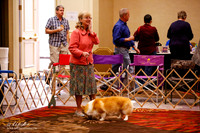 Specialty Best of Breed