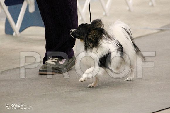 IMG_7483-Abilene2011-HR3