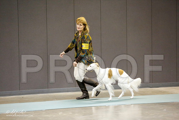 _RH_0687-BeltonJan2015-HR3