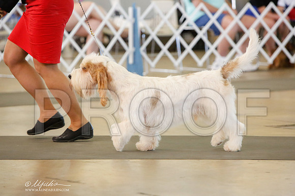 _JJ_7554-DallasJul2014-HR3