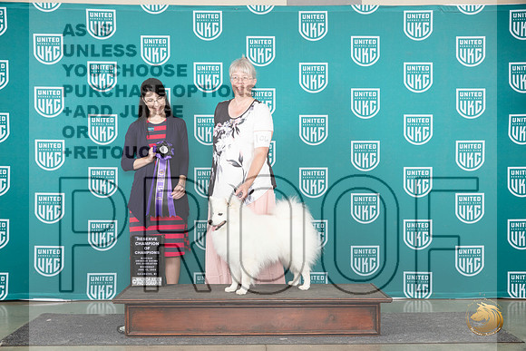 American Eskimo Dog #106 Wed RCH Judge Diana Brumbaugh__JP_0609_Premier_2024_HR3