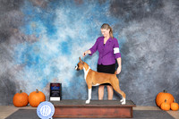 Boxer #6 Sat WBBOWBOS Judge Tim Catterson
