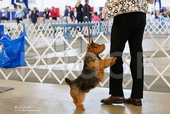 _JJ_8066-DallasJul2014-HR3