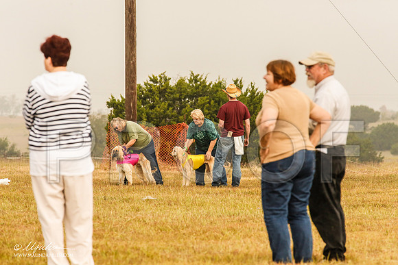 _MJ_3667-AfgBeltonOct2014-HR3