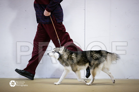 AKK-9158-HtoJan14-HR