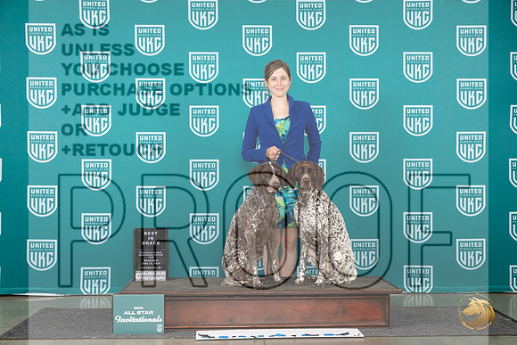 German Shorthaired Pointer #771 Wed Brace Judge Jeanne Heger__JP_2352_Premier_2024_HR3