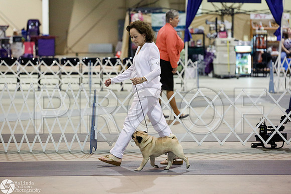 _RH_4454-SanAntonioJul2014-HR
