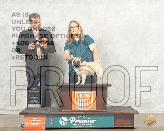 Pug #873 Thur AOE Judge Antonio Raposo__MJ_7278_Premier_2022_HR3