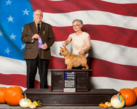 Norwich Terriers #8 Sat WB NC Seiler Milton MD Marshall Lee Agent Judi Hartell PHA Judge Mr Merle Taylor