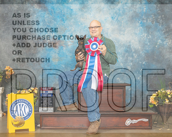 Toy Manchester Terrier #6 Thur BIS Judge Eugene Blake-MMJ_9200-NWARK2022-HR3