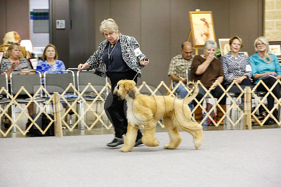 _JJ_8571-AfgBeltonOct2014-HR3