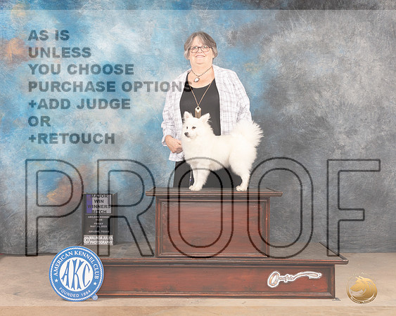 American Eskimo #18 Fri WBM Judge Thomson Stanfield Jr-MMJ_3794-Abilene2022-HR3