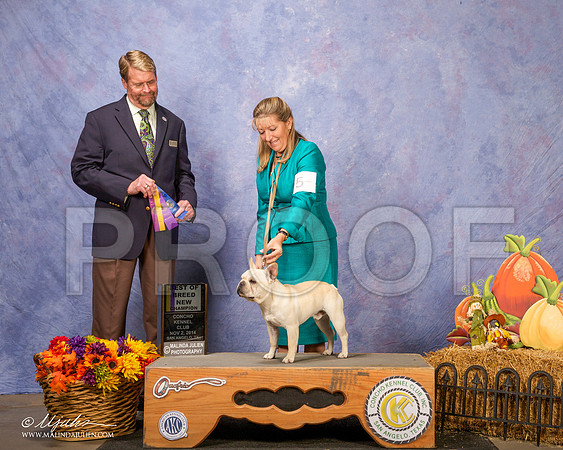 _CL_4599-SanAngelo2014-HR3