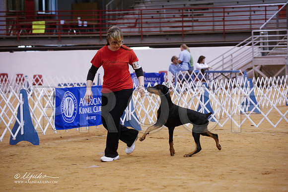 dobe-3253-GRJan14-HR
