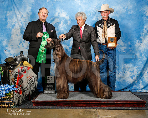 _ST_4616-2-AfgBeltonOct2014-HR3