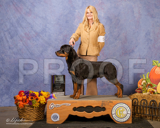 _CL_4582-SanAngelo2014-HR3