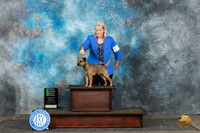 Border Terrier #5 Sat G2 Judge Gerard Penta