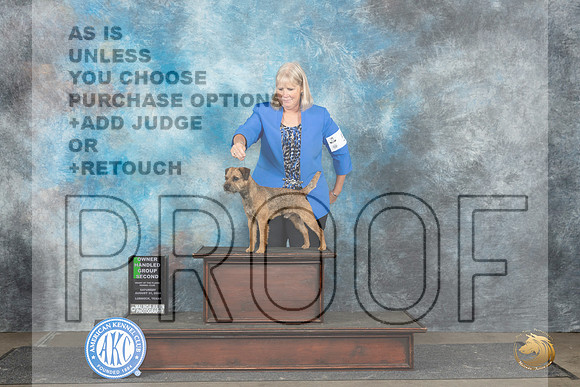 Border Terrier #5 Sat G2 Judge Gerard Penta__JP_3823_Lubbock_2024_HR3