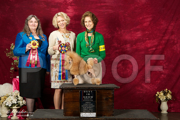 _ST_3029-BeltonJan2015IABCA-HR3