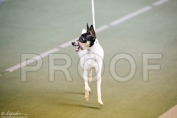 _JJ_3733-DentonMar2015-HR3