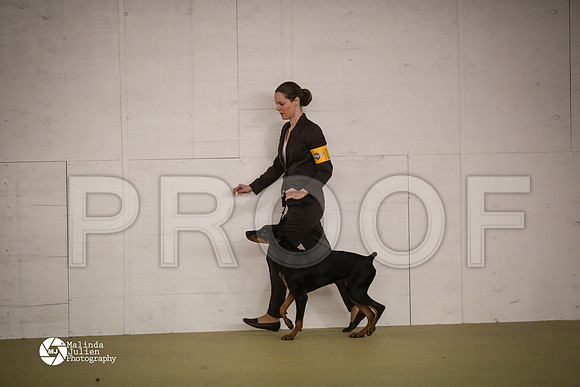 Dobe-7440-HtoJan14-HR