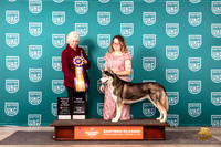 Siberian Husky #152 Sun ARBISCH JUdge Kathryn Baxter