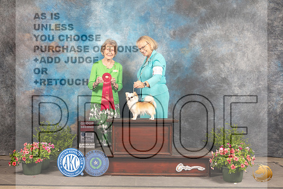 Chihuahua Long Coat #12 Sun G2 Judge Ann Bolus_MJ_1676_SA_2022_HR3