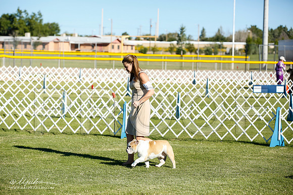 _JN_8311-AlamogordoOct2014-HR3