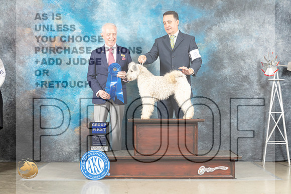 Pumi #6 Fri G1 Judge Fred Bassett _MJ_4209_Amarillo_2022_HR3