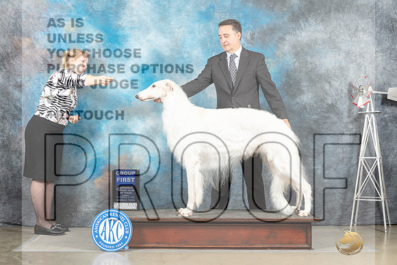 Borzoi #11 Sun G1 Judge Sharon Derrick_MJ_5131_Amarillo_2022_HR3