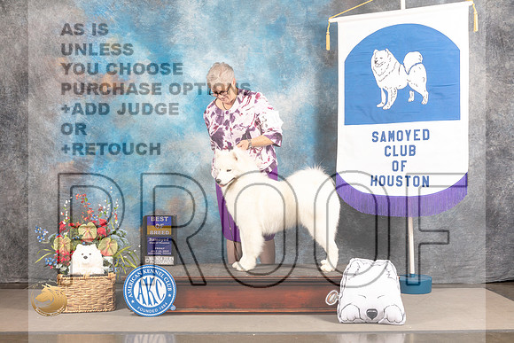 Samoyed #10 FRI BOB Judge John Wade_MJ_5259_Houston_2022_HR3