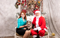 Australian Shepherd Sat Emily