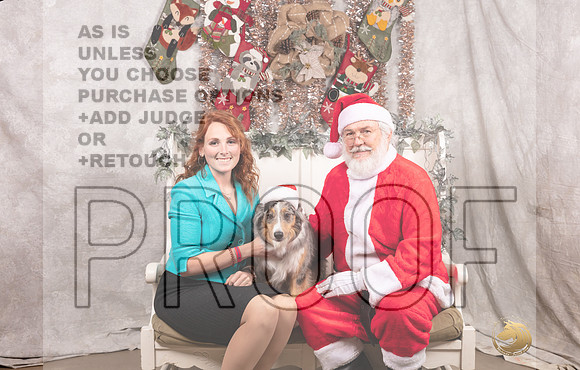 Australian Shepherd Sat Emily-_MJ_7531-DallasDec2021_HR3