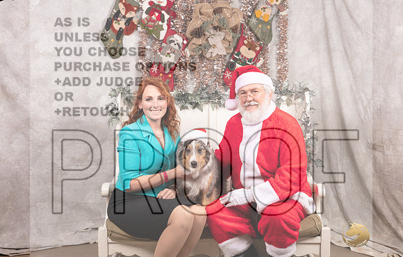 Australian Shepherd Sat Emily-_MJ_7532-DallasDec2021_HR3