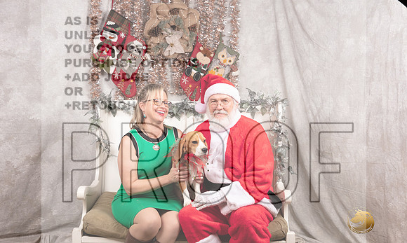 Beagle Sun Felicity-_MJ_8183-DallasDec2021_HR3