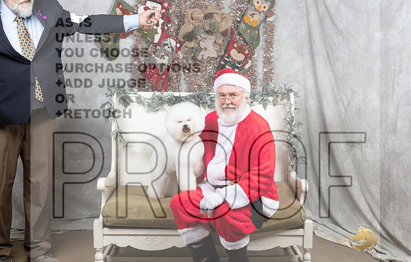 Bichon Fri David-_MJ_7186-DallasDec2021_HR3