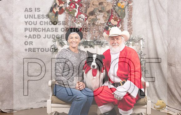Border Collie Sat Jodie-_MJ_7713-DallasDec2021_HR3