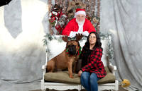 Bullmastiff Sat Yulianna Arriaga 2