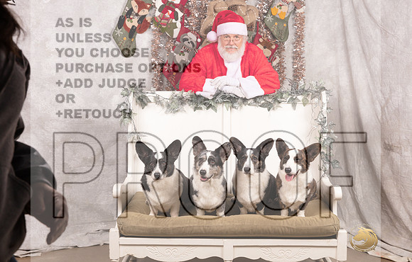 Cardigan Welsh Corgi Sat List Anderson-_MJ_7596-DallasDec2021_HR3